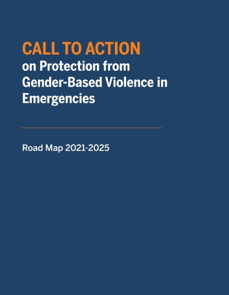 Call to Action on Protection from Gender-Based Violence in Emergencies