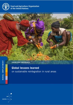 Global lessons learned on sustainable reintegration in rural areas