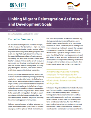 Linking Migrant Reintegration Assistance and Development Goals