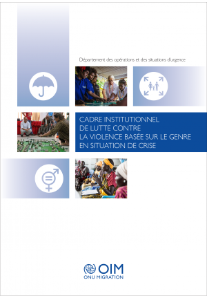 Institutional Framework for Addressing Gender-Based Violence in Crises