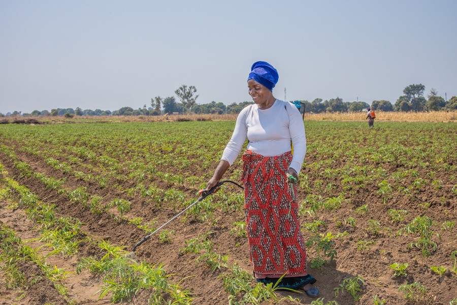 Woman working in the agriculture sector in Malawi - Credit: Beyond Borders Media